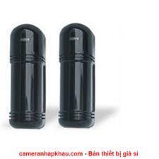 Đầu dò Beam GS-B166 ( 2 tia hồng ngoại, inside 50m, outside 30m )