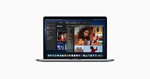 Apple 13