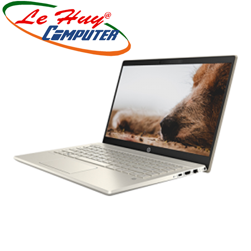 Máy Tính Xách Tay/Laptop HP Pavilion 14-ce2049TU/I5-8265U/8G/SSD256GB/14