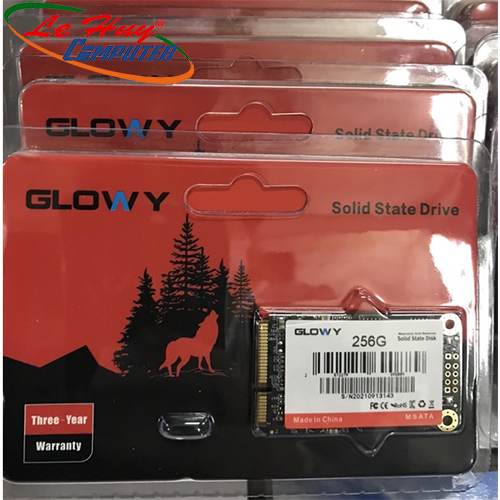 Ổ cứng máy tính SSD GLOWY 256GB mSATA New Box